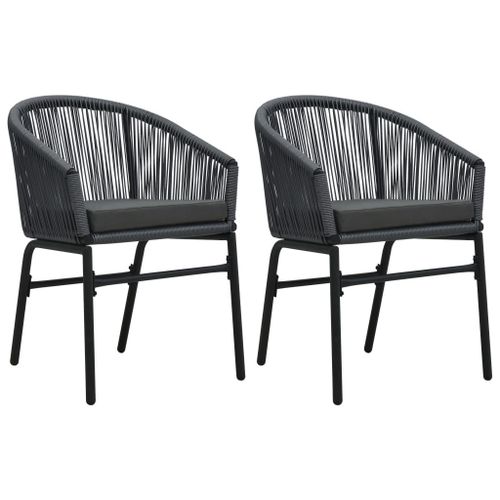 Vidaxl Chaises De Jardin Lot De 2 Anthracite Rotin Pe