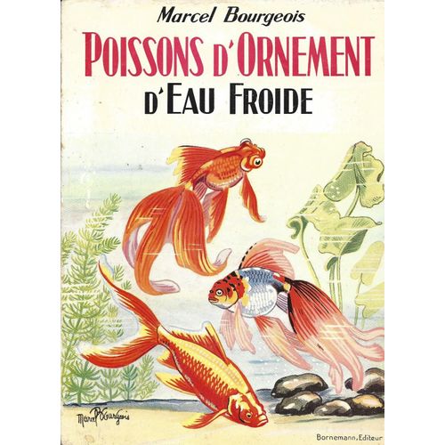Poissons D'ornement D'eau Froide