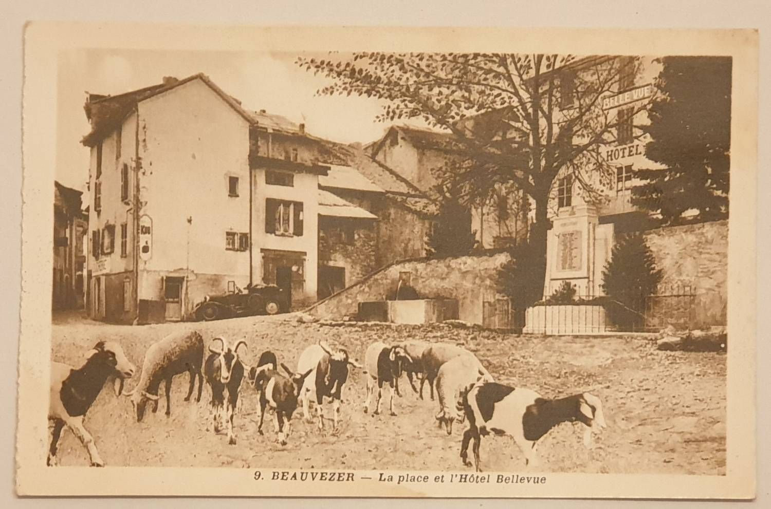 Carte Postale Ancienne Ref 69, Val De Marne 94, Beauvezer, La Place De L Hotel Bellevue, Chèvres