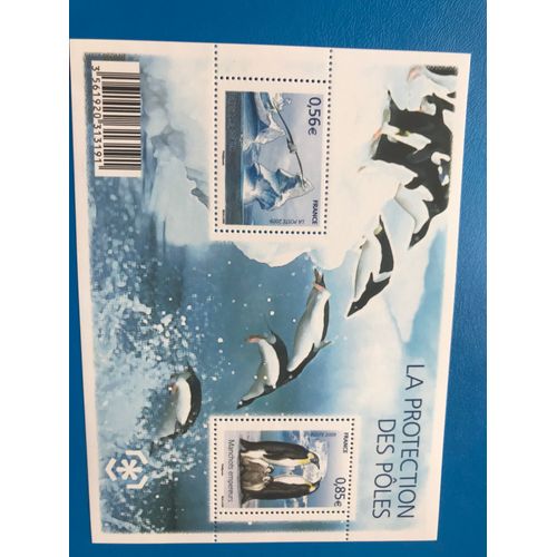 Bloc Feuillet 2 Timbres, La Protection Des Pôles, Paysage Polaire & Manchots Empereurs - Année 2009 - Gomme Intacte