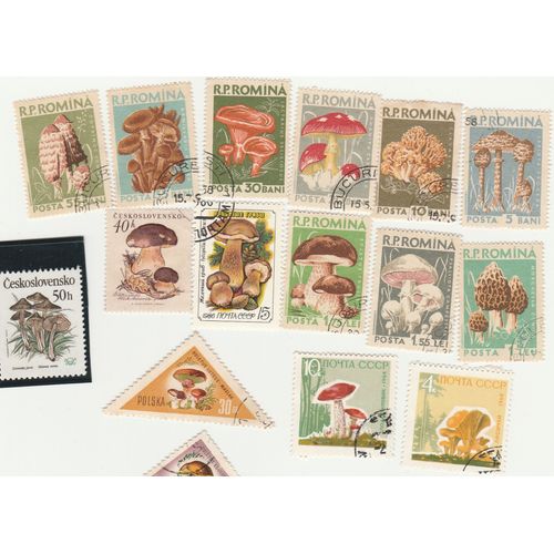 16 Timbres Champignons D'europe