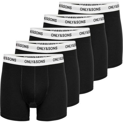 Boxers Fitz (X5)
