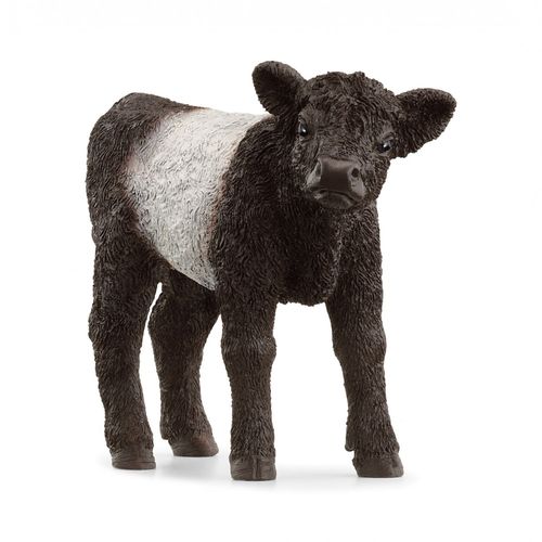 Farm World Veau Galloway