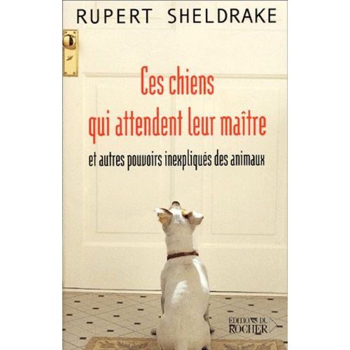 Ces Chiens Qui Attendent Leur Maitre Et Autres Pouvoirs Inexpliques Des Animaux