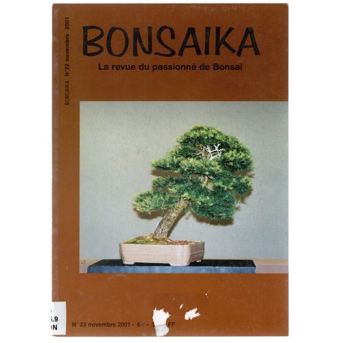Bonsaïka. La Revue Du Passionné De Bonsaï. N°22. Novembre 2001