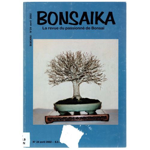 Bonsaïka. La Revue Du Passionné De Bonsaï. N°24. Avril 2002