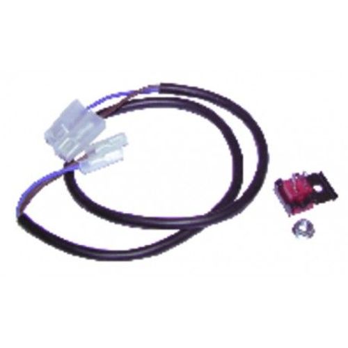 Sonde Ecs - Ferroli : 39808560