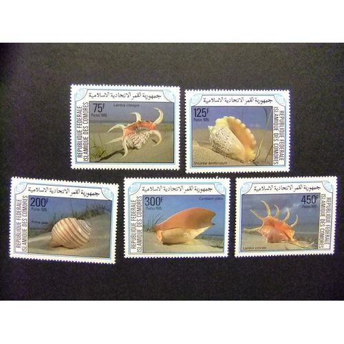 56 Comores Republica Federal Islamica 1985 / Fauna Marina Caracolas / Yvert 421 / 425 Mnh