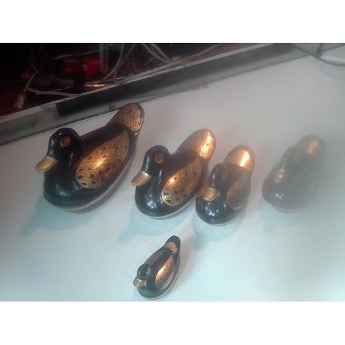 5 Cannards Sollac