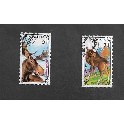 Elans, Caribous