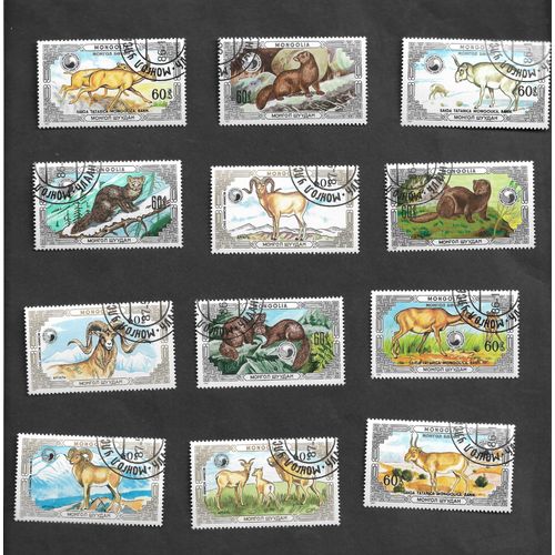 Faune Sauvage