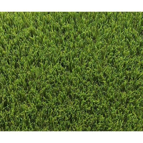 Gazon Synthétique - Exelgreen - 123103 - Park 40 Mm - 1 X 5m