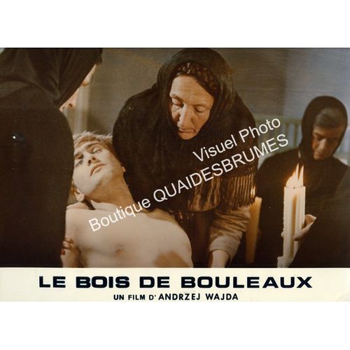 Le Bois De Bouleaux (Brzezina) : Photo Glacée D'exploitation Cinématographique - Format 24x30 Cm - De Andrzej Wajda Avec Daniel Olbrychski, Emilia Krakowska, Olgierd Lukaszewicz - 1970