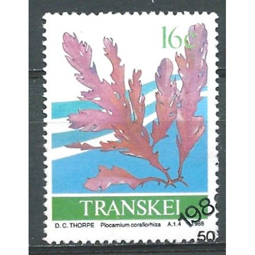 Transkei État Afrique Du Sud. Algues 1988 Oblitéré