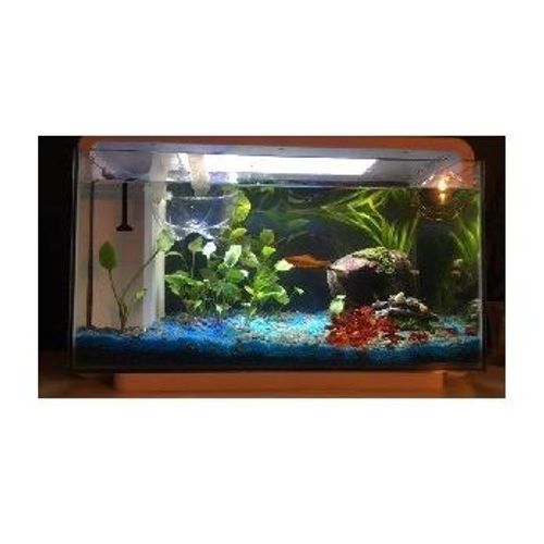 Éclairage Rampe Led Driver+ Transfo Interrupteur Aquarium Lumière  Lampes Naturelle  Surveil Contemple Poisson Clareté Favorise Bien-Être Plante Aquatic Système Sécurisé Consomme Peu D'énergie  Basse