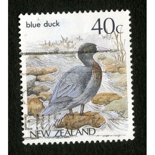 Timbre New Zealand, Blue Duck, 40c