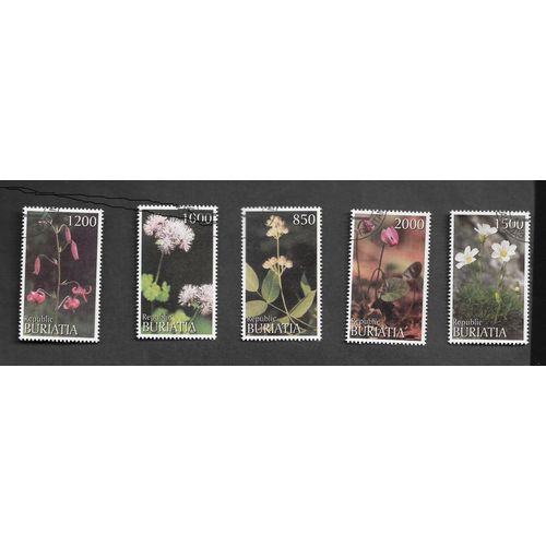Fleurs