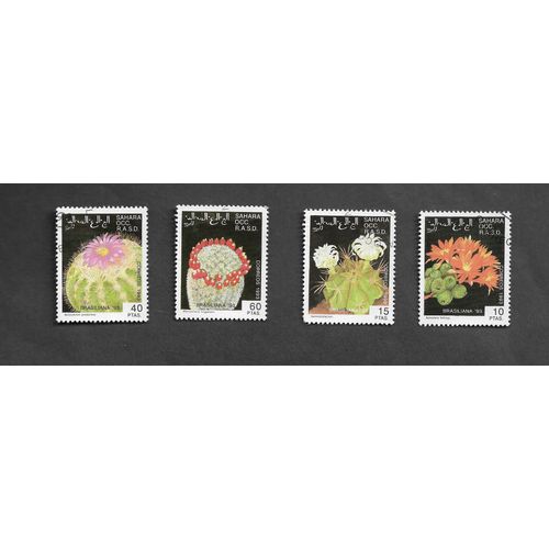 Cactus Et Plantes Grasses