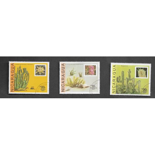 Cactus Et Plantes Grasses