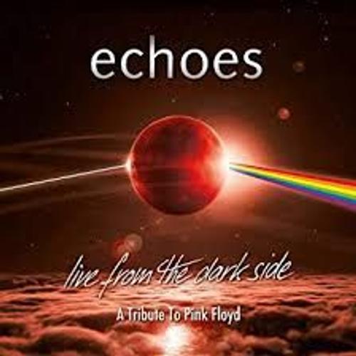 Echoes Live From - The Dark Side Live Concert