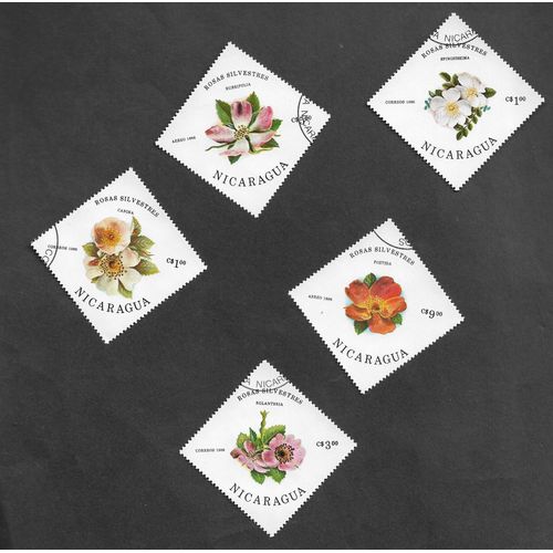 Fleurs
