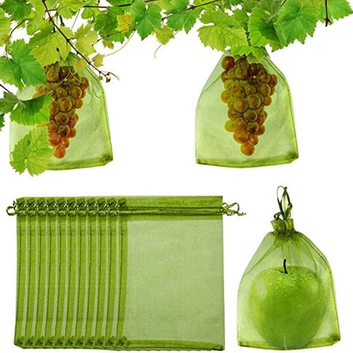 Sacs de Protection des fruits 100 pièces, parfaits pour protéger vos fruits contre les dommages. Sacs de fruits pour arbres fruitiers