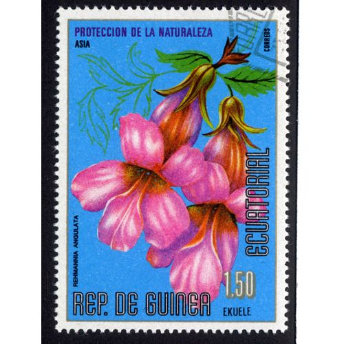 Timbre Proteccion De La Naturaleza.Asia.Rep. De Guinea Ecuatorial.Rehmannia Angulata.1.50 Ekuele.