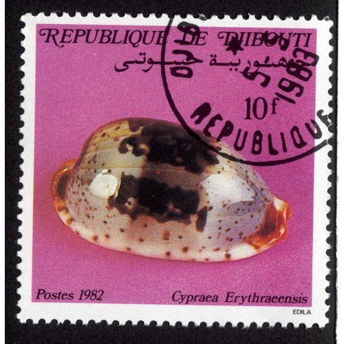 Timbre Cypraea Erythraeensis.Republique De Djibouti.Postes.1982.