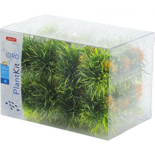 Zolux-24 Petits Buissons. D?Co Plant Kit Idro . Hauteur 3 Cm. ? 3.5 Cm Environ.-Zo-352172