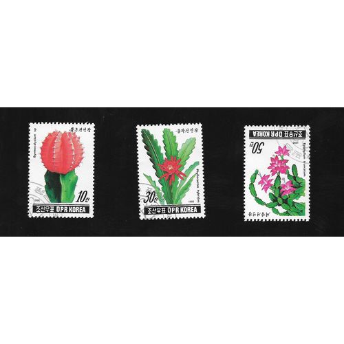 Cactus Et Plantes Grasses