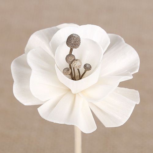 Bâtons de diffuseur d'arôme en forme de fleur, accessoires de diffuseur d'arôme de chambre à coucher, bâton de rotin de roseau 5 pièces
