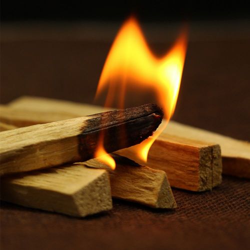 Palo ¿ bâtonnets d'encens en bois, sans odeur, pour diffuseur d'arôme et de taches, aromathérapie