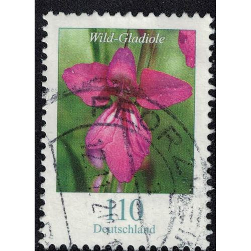 Allemagne 2019 Oblitéré Rond Used Fleurs Wild Gladiole Glaïeul Sauvage Su