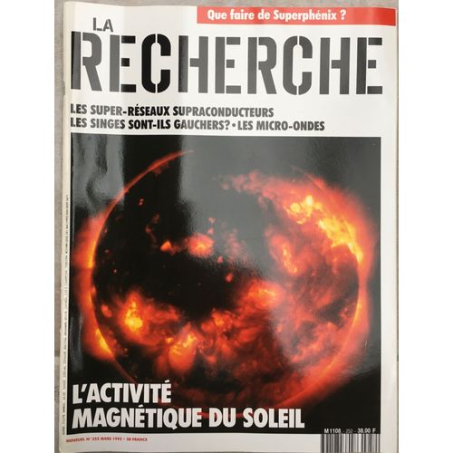 La Recherche 252 De Mars 1993 / L'activité Magnétique Du Soleil