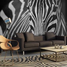 Achat Papier Peint Rayure Noir Et Blanc A Prix Bas Neuf Ou Occasion Rakuten