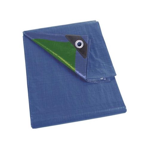 Bâche Bleu/Vert Standard 5x8 M