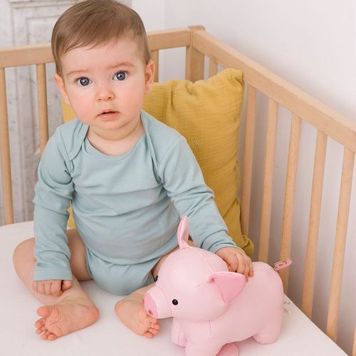 Boite À Musique Léon Le Cochon