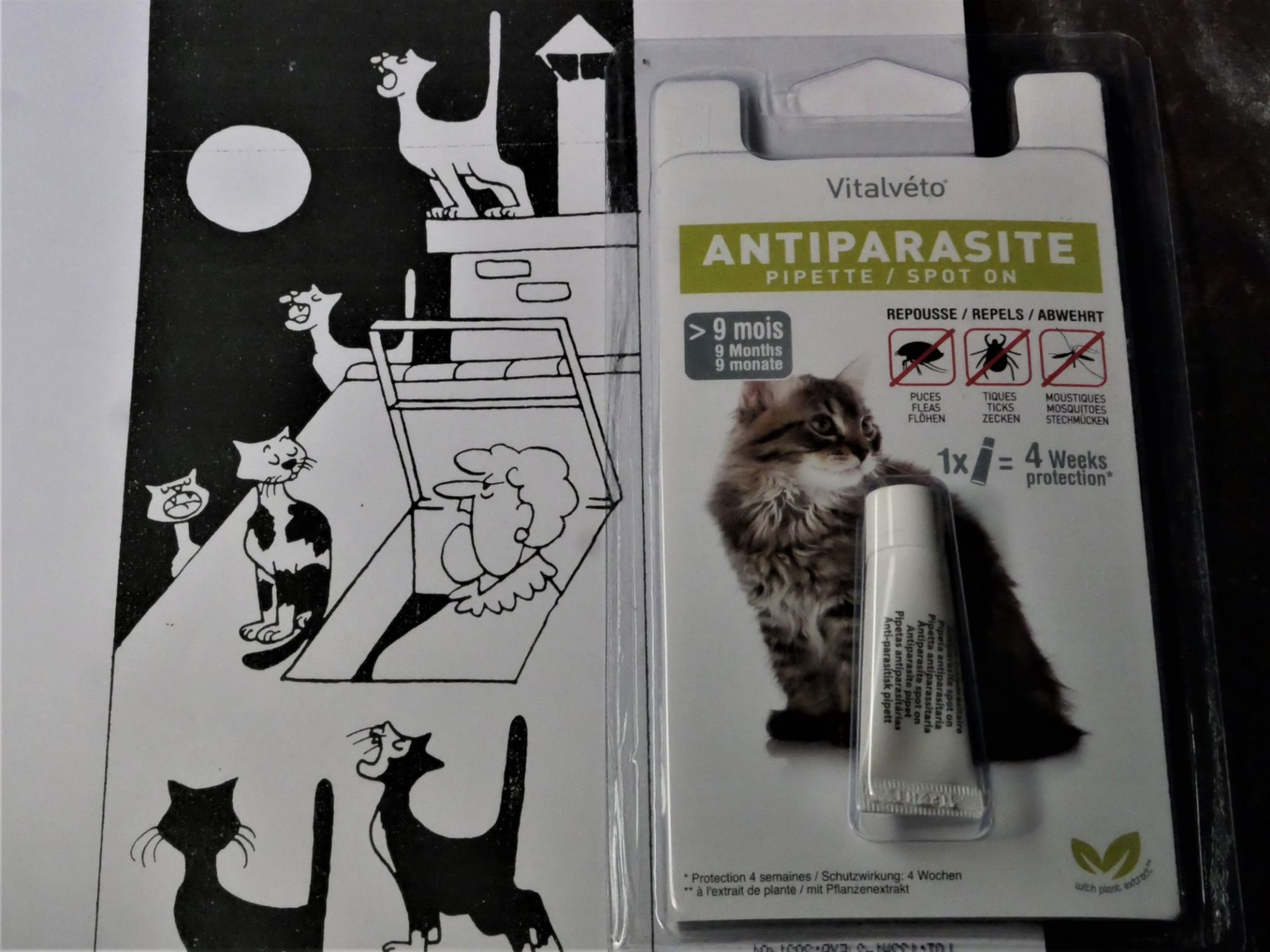 Pipette Antiparasitaire. Vitalvéto. Pour Chat