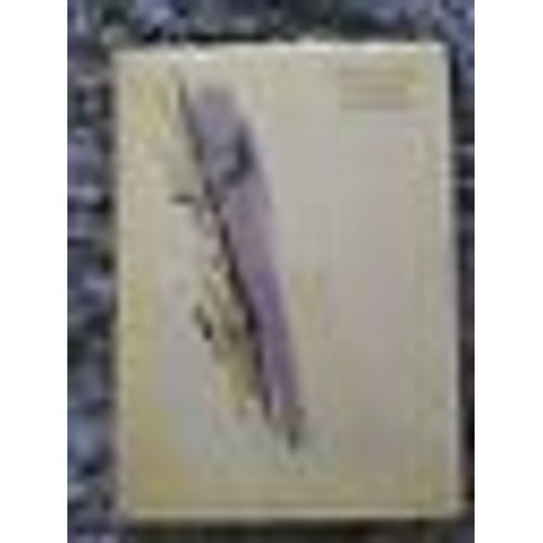 Carnets De Vertige