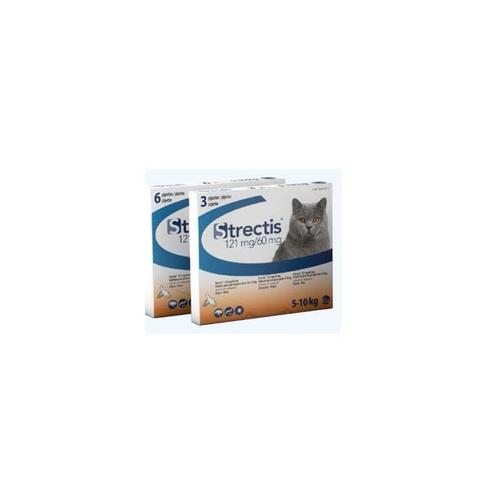 Solution Strectis 121/60 Mg Chat 6 Pip.