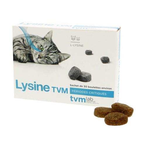 Complément Lysine Chat Et Chaton