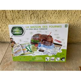 La maison des fourmis, jeux educatifs