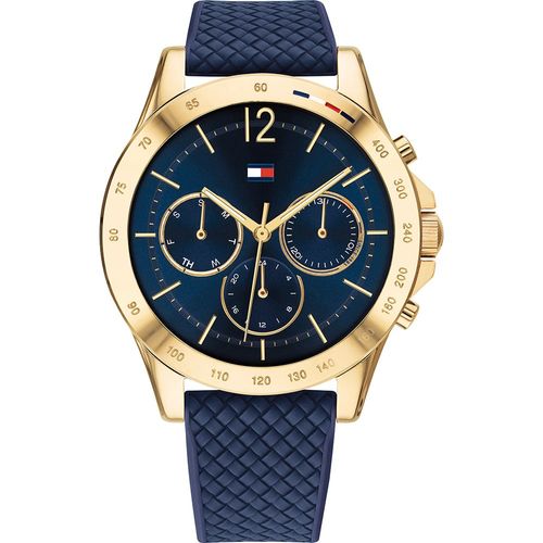 Montre Tommy Hilfiger Haven 1782198