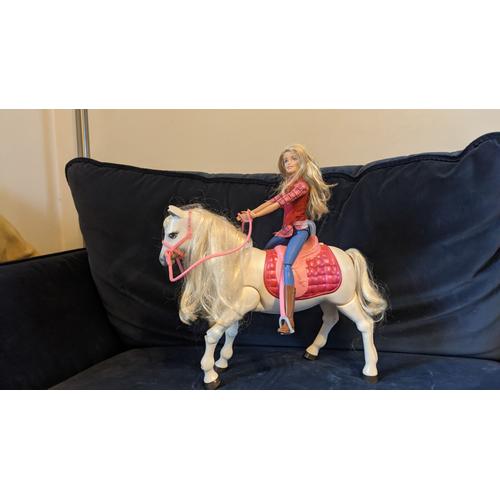 Poupée Barbie Et Son Cheval Articulé