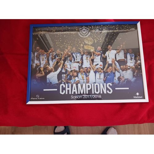 Vends 2 Tableaux Collection "Castres Olympique Rugby " Champions ? De France (2013 Et 2018) Trés Trés Bonne État.