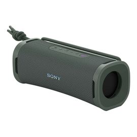 Enceinte portable SONY ULT FIELD 1 Gris Foret