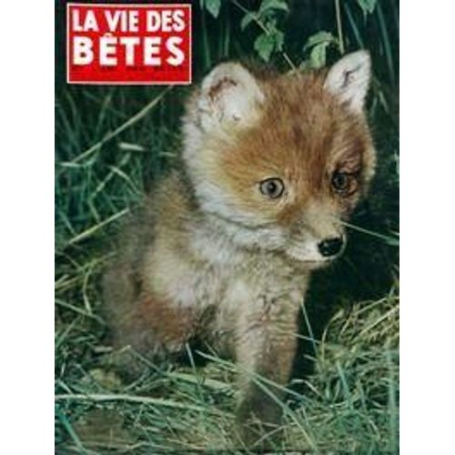 Vie Des Betes (La) N° 80 Du 01/03/1965 - L'elephant Etait Ivre Par Villers - Les Anes - Le Remora - Complice Des Pecheurs De Tortues - La Chauve-Souris - Les Lionceaux Du Jardin D'aclimatation -...