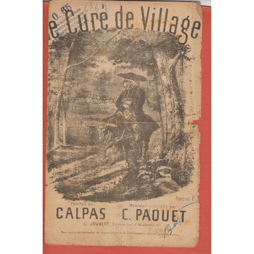 Le Curé De Village