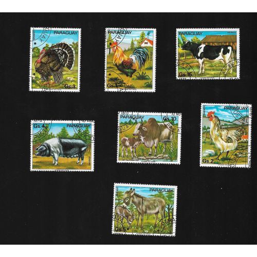 Bébés Animaux