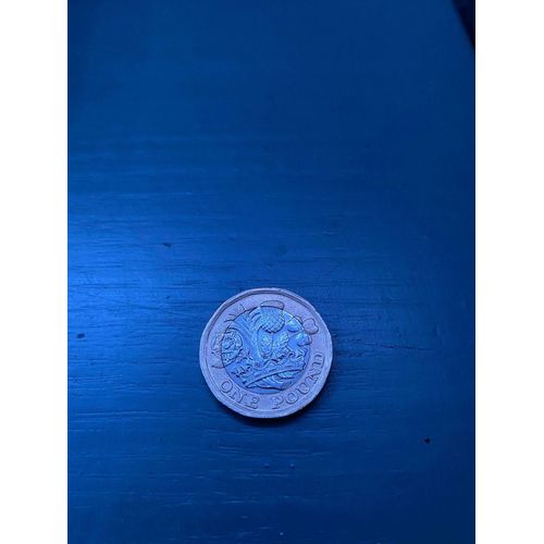 One Pound 2017